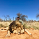 Jerry Li on a hunt in South Africa.